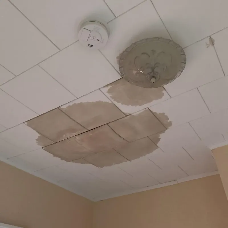 Ceiling Water Damage Repair in Hurley, MS