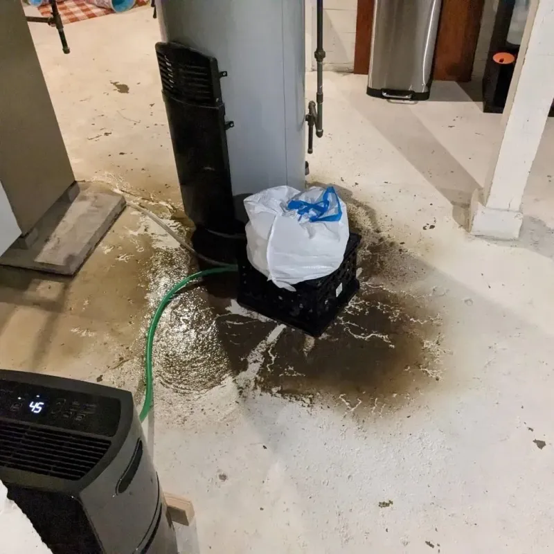 Sewage Backup Cleanup Service in Hurley, MS